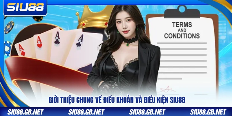 Sơ lược các quy định điều khoản sử dụng Siu88